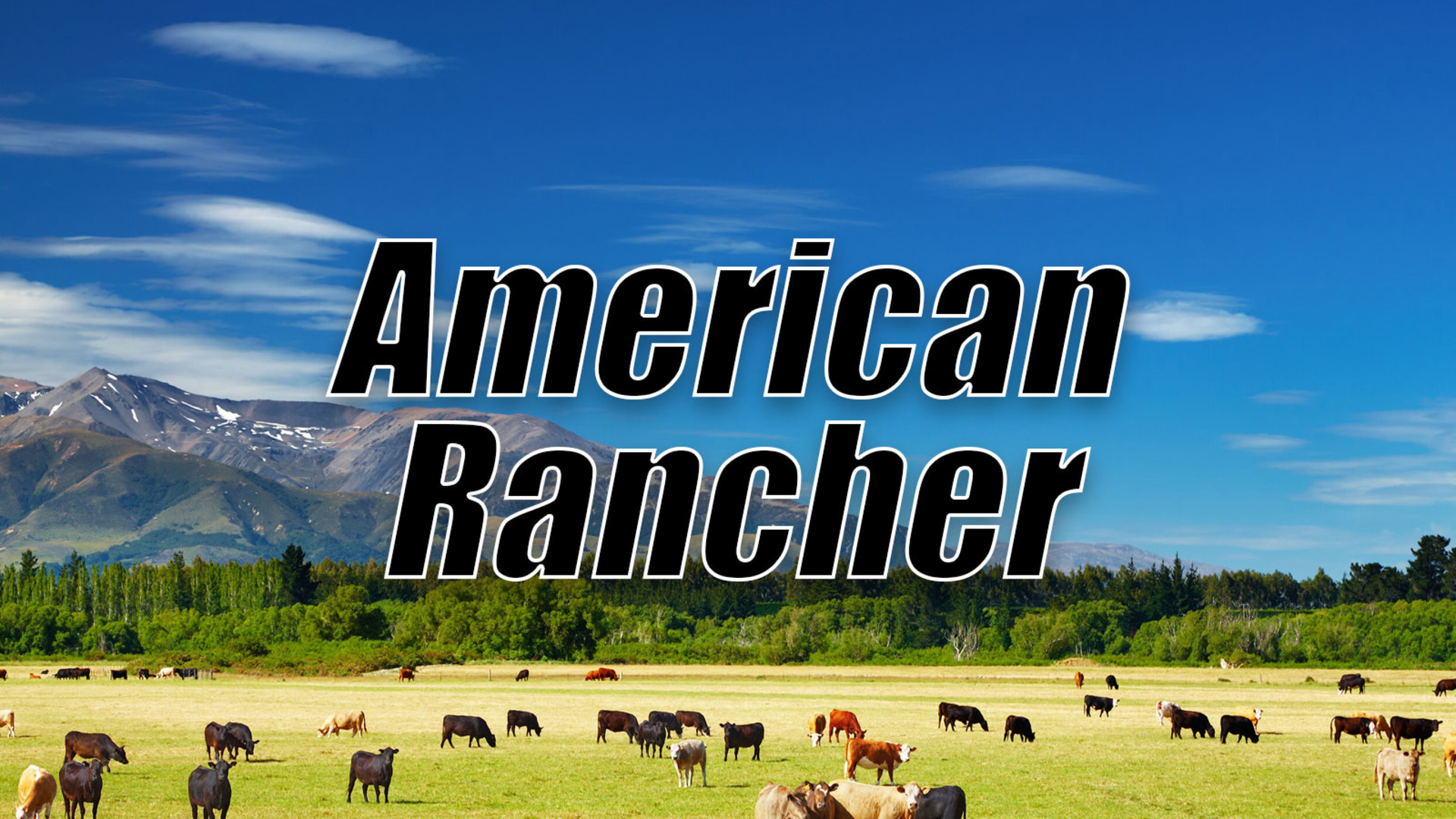 American Rancher
