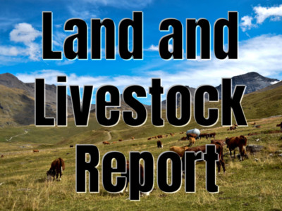 Land & Livestock Report