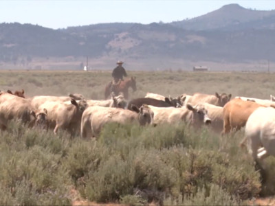 Ranchers Applaud Announcement Of New NEPA Rules