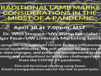 University of Wyoming Lamb Market Webinar