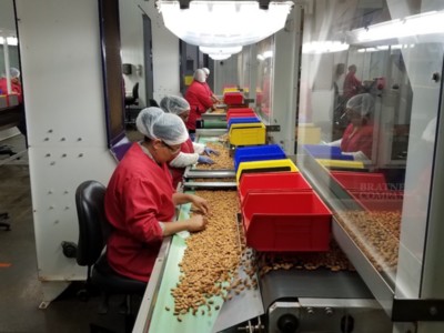 Distancing Line Employees In Nut Processing Facility Due to COVID-19