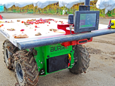Automation in Specialty Crops