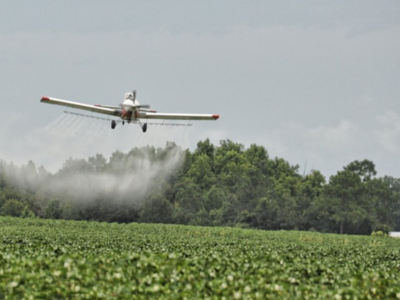 EPA Report on Chlorpyrifos Expected Soon