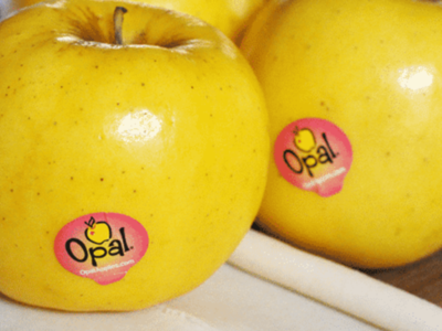 Opal Apples In Stores Pt 3