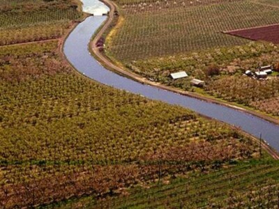 Irrigation Title Transfers