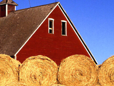 Number of U.S. Farms Declines…Slowly
