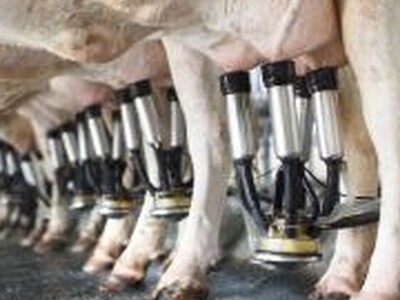 Dairy Industry Program Renewal Would Mean Updates and Improvements