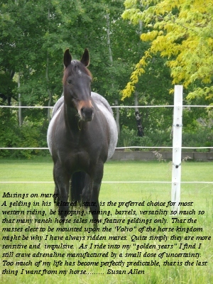 Indy musing