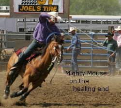 Mighty Mouse healing